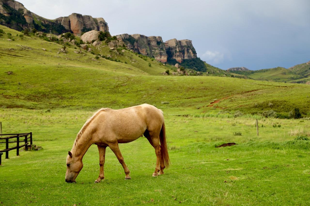 Greenfire Drakensberg Lodge Bonjaneni Esterno foto