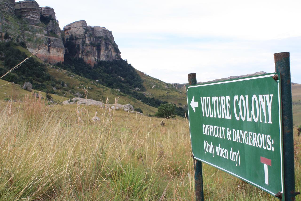Greenfire Drakensberg Lodge Bonjaneni Esterno foto